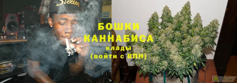 цены наркотик  Балтийск  Канабис White Widow 